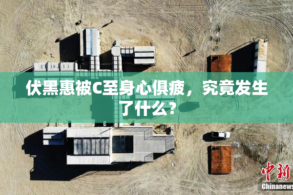 伏黑惠被C至身心俱疲，究竟发生了什么？