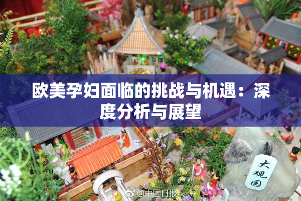欧美孕妇面临的挑战与机遇：深度分析与展望