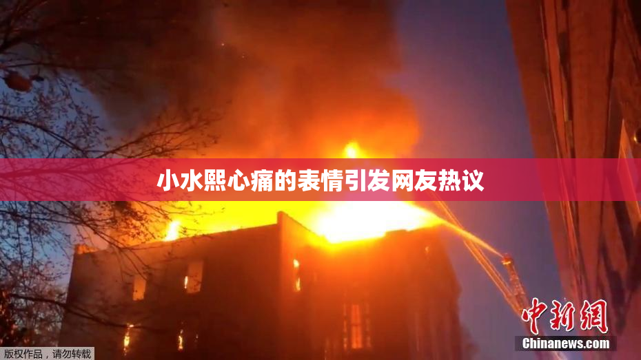 小水熙心痛的表情引发网友热议