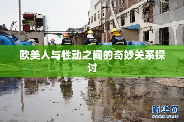 欧美人与牲动之间的奇妙关系探讨