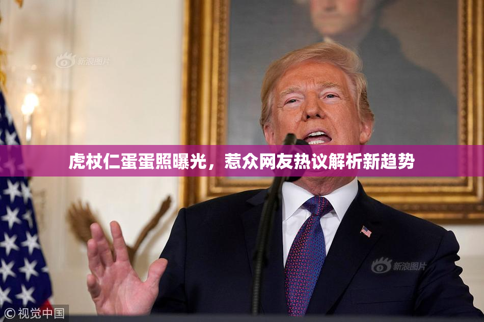 虎杖仁蛋蛋照曝光，惹众网友热议解析新趋势