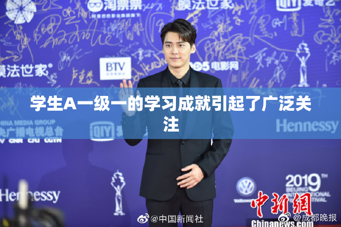 学生A一级一的学习成就引起了广泛关注