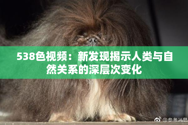 538色视频：新发现揭示人类与自然关系的深层次变化