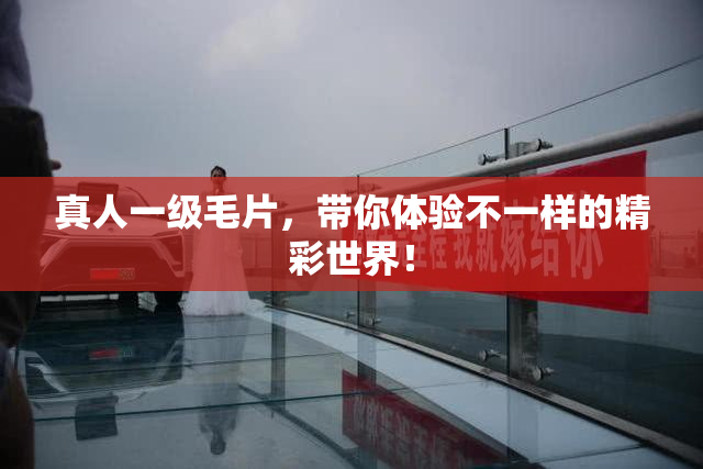 真人一级毛片，带你体验不一样的精彩世界！