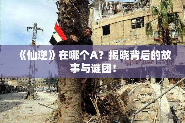 《仙逆》在哪个A？揭晓背后的故事与谜团！