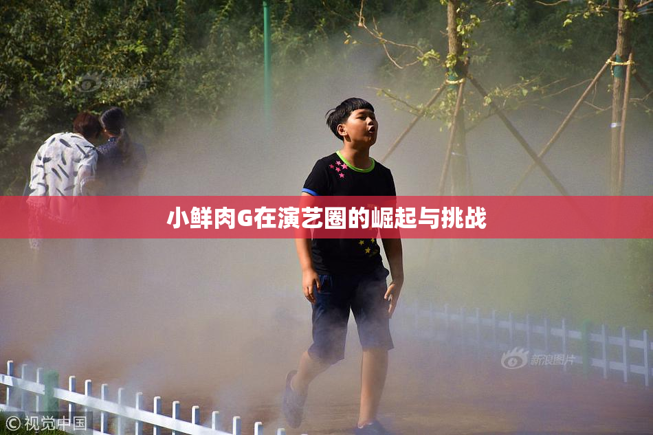 小鲜肉G在演艺圈的崛起与挑战