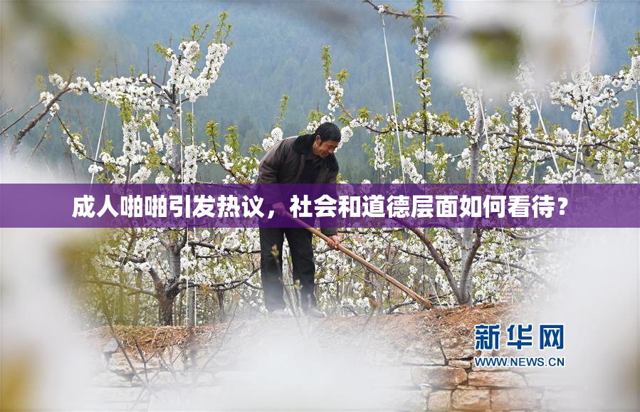 成人啪啪引发热议，社会和道德层面如何看待？