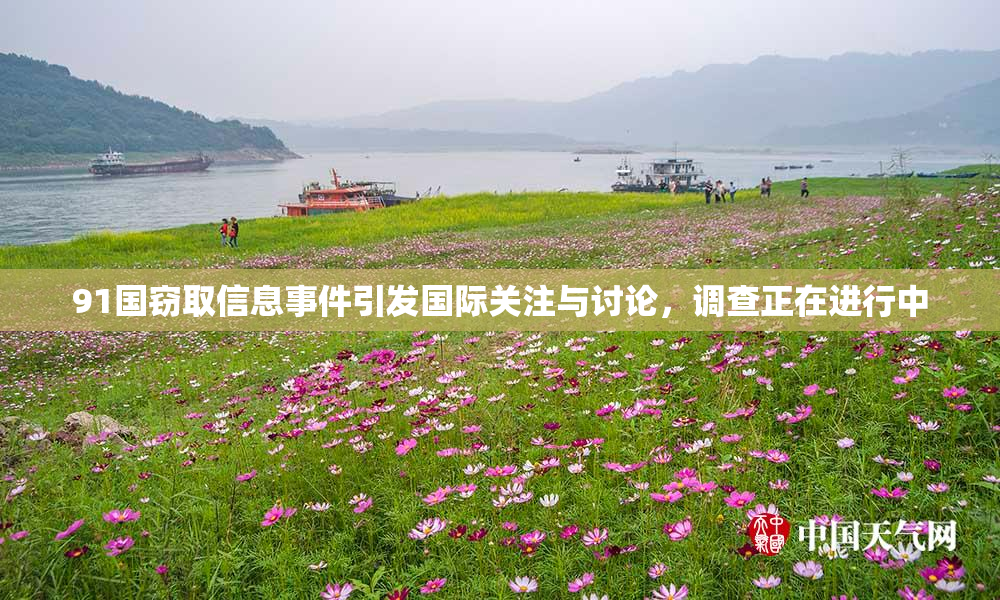 91国窃取信息事件引发国际关注与讨论，调查正在进行中