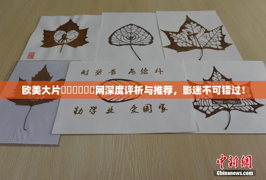 欧美大片❌‌❌‌❌‌网深度评析与推荐，影迷不可错过！