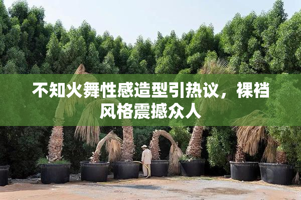 不知火舞性感造型引热议，裸裆风格震撼众人