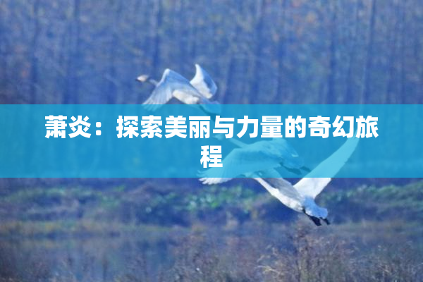 萧炎：探索美丽与力量的奇幻旅程