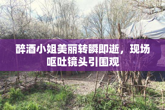 醉酒小姐美丽转瞬即逝，现场呕吐镜头引围观