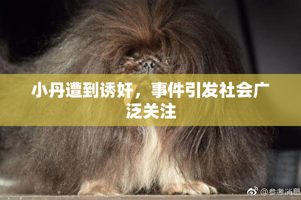 小丹遭到诱奸，事件引发社会广泛关注