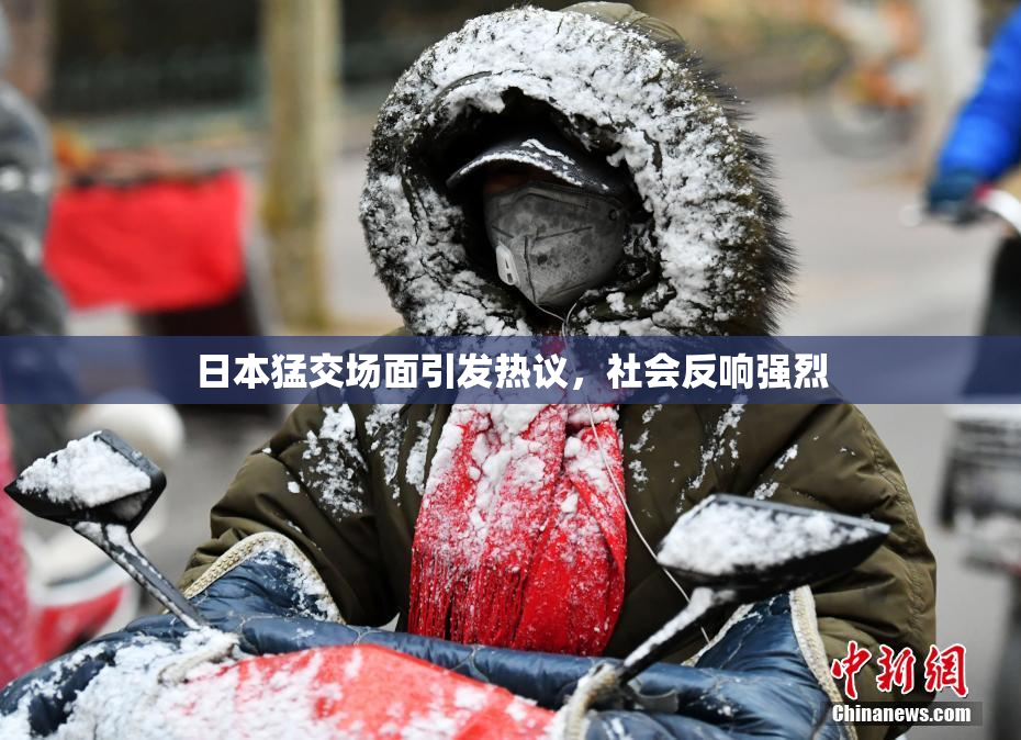 日本猛交场面引发热议，社会反响强烈