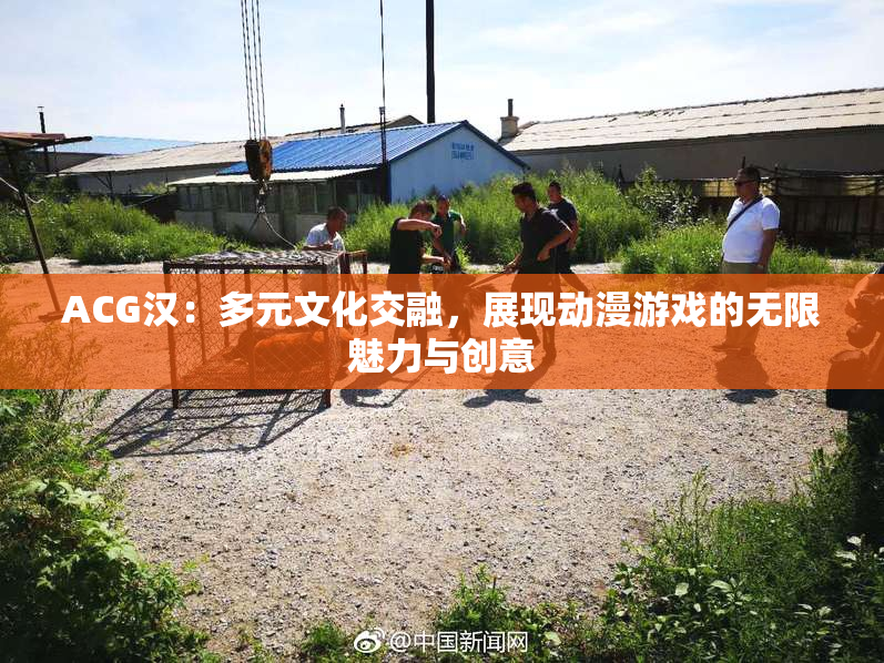 ACG汉：多元文化交融，展现动漫游戏的无限魅力与创意