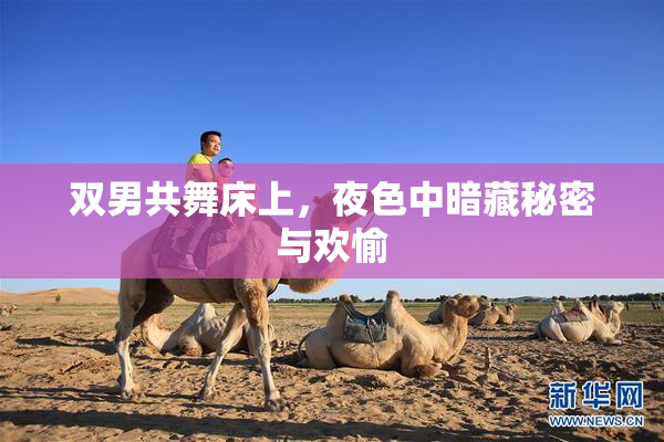 双男共舞床上，夜色中暗藏秘密与欢愉