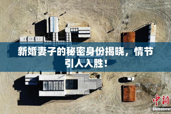 新婚妻子的秘密身份揭晓，情节引人入胜！
