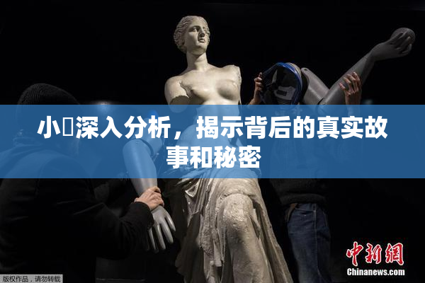 小泬深入分析，揭示背后的真实故事和秘密