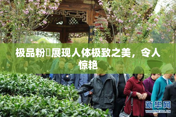 极品粉鮑展现人体极致之美，令人惊艳