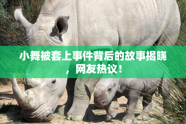 小舞被套上事件背后的故事揭晓，网友热议！