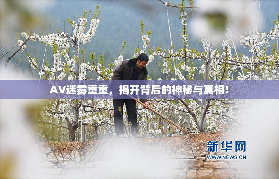 AV迷雾重重，揭开背后的神秘与真相！