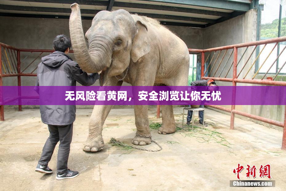 无风险看黄网，安全浏览让你无忧