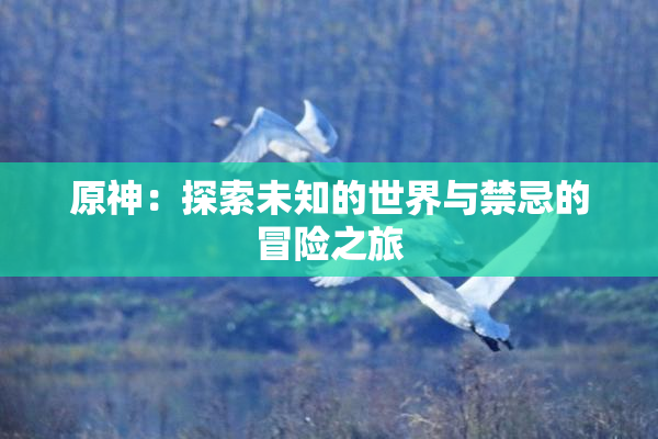原神：探索未知的世界与禁忌的冒险之旅