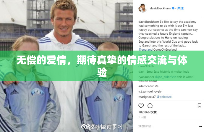 无偿的爱情，期待真挚的情感交流与体验