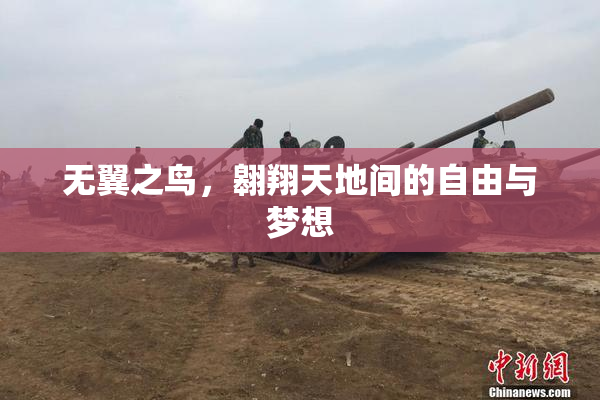 无翼之鸟，翱翔天地间的自由与梦想