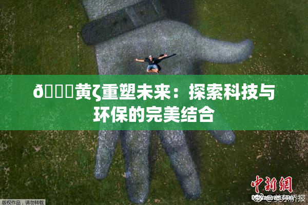 🔞黄ζ重塑未来：探索科技与环保的完美结合