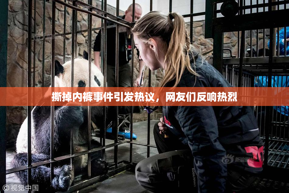 撕掉内裤事件引发热议，网友们反响热烈