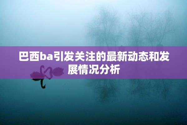 巴西ba引发关注的最新动态和发展情况分析