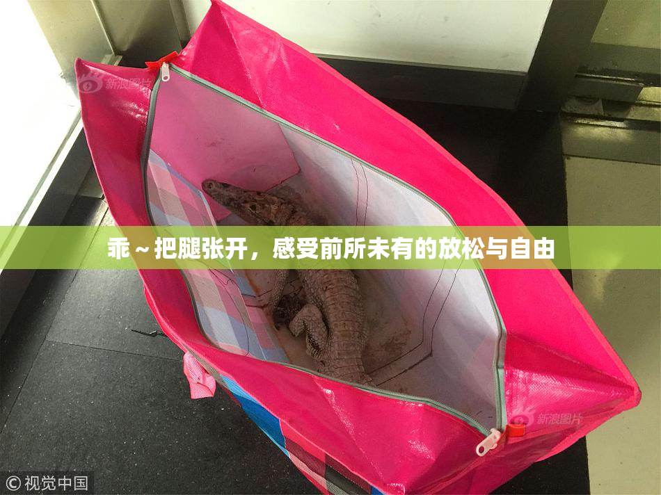 乖～把腿张开，感受前所未有的放松与自由