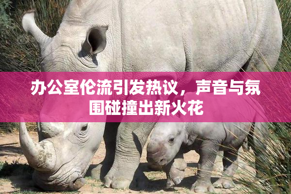 办公室伦流引发热议，声音与氛围碰撞出新火花