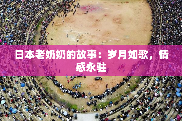 日本老奶奶的故事：岁月如歌，情感永驻