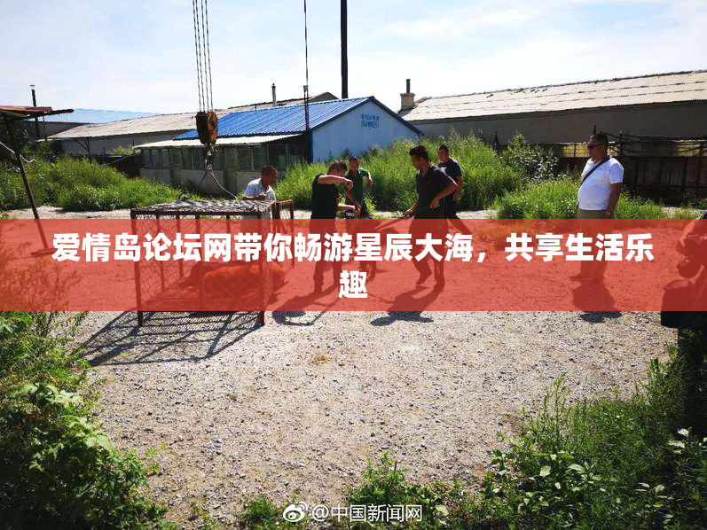 爱情岛论坛网带你畅游星辰大海，共享生活乐趣