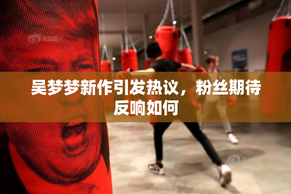 吴梦梦新作引发热议，粉丝期待反响如何