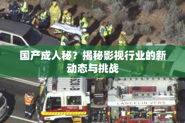 国产成人秘？揭秘影视行业的新动态与挑战