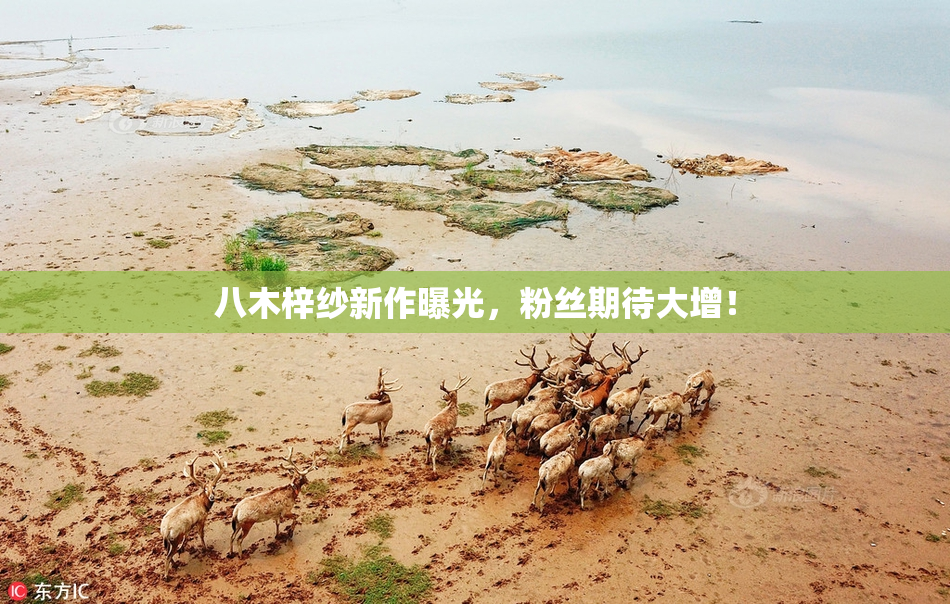 八木梓纱新作曝光，粉丝期待大增！