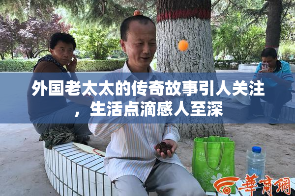 外国老太太的传奇故事引人关注，生活点滴感人至深