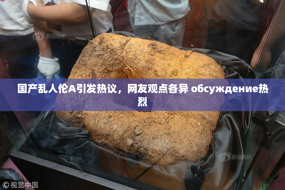 国产乱人伦A引发热议，网友观点各异 обсуждение热烈