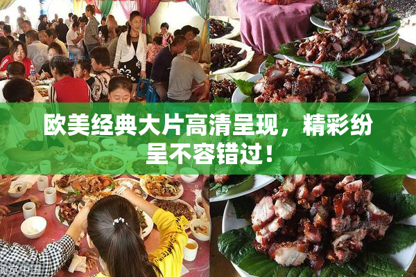 欧美经典大片高清呈现，精彩纷呈不容错过！