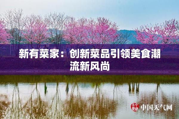 新有菜家：创新菜品引领美食潮流新风尚
