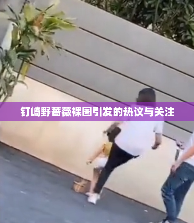 钉崎野蔷薇裸图引发的热议与关注