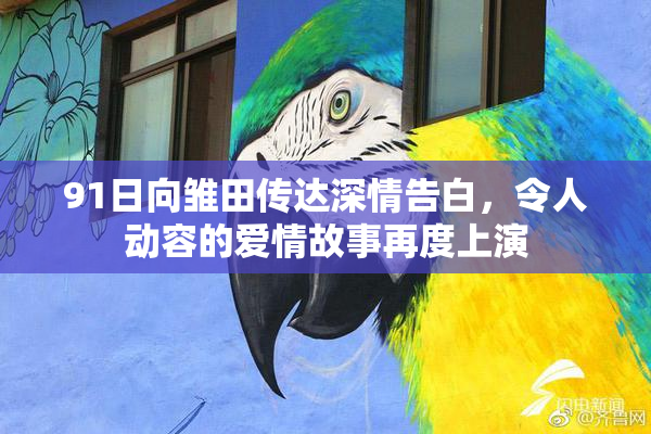 91日向雏田传达深情告白，令人动容的爱情故事再度上演