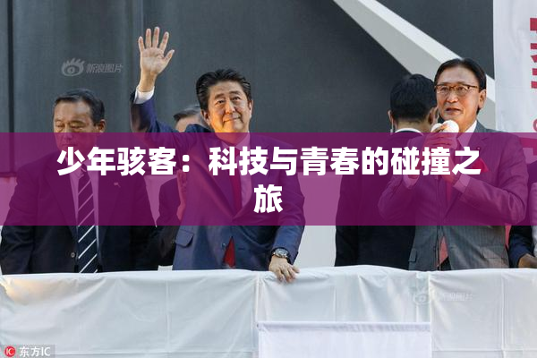 少年骇客：科技与青春的碰撞之旅