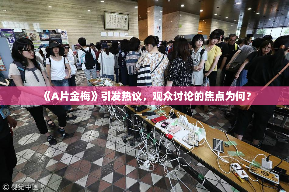 《A片金梅》引发热议，观众讨论的焦点为何？