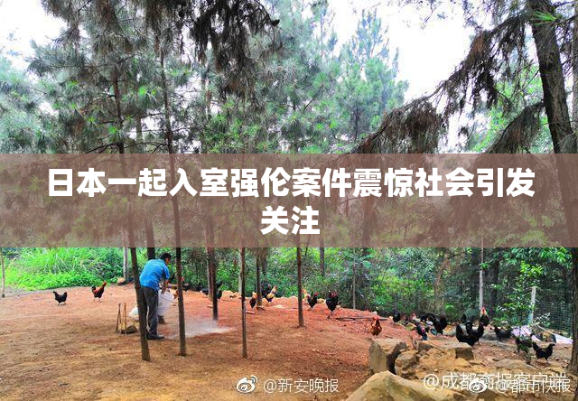 日本一起入室强伦案件震惊社会引发关注
