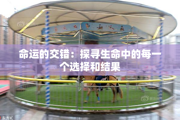 命运的交错：探寻生命中的每一个选择和结果