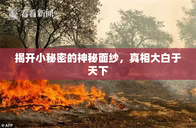 揭开小秘密的神秘面纱，真相大白于天下
